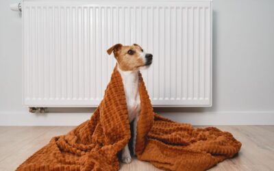 Optimizar radiadores calefacción en viviendas modernas con la tecnología Turbofans